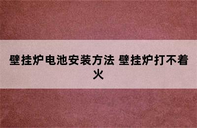 壁挂炉电池安装方法 壁挂炉打不着火